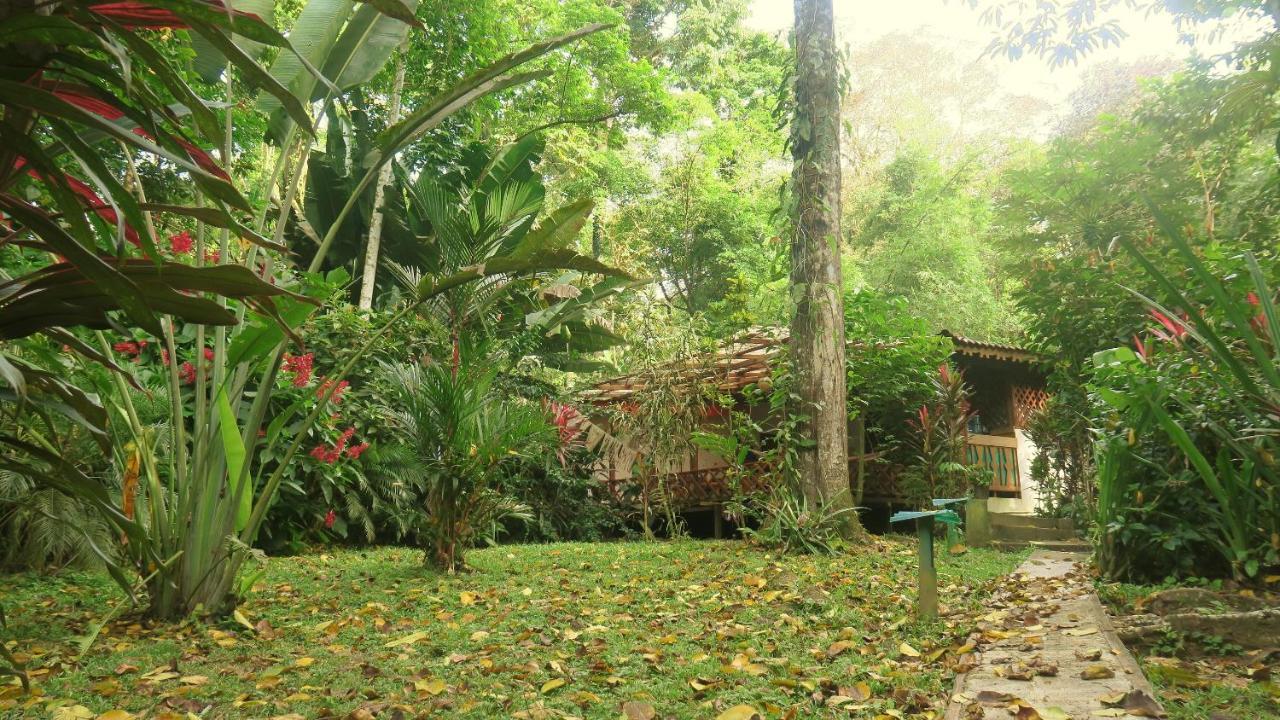 Casa Moabi Bed and Breakfast Cocles Eksteriør billede